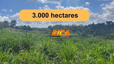 Fazenda, 3000 hectares - Foto 1