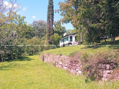 Fazenda, 80 hectares - Foto 1