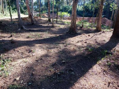 Chácara, 3000 m² - Foto 3