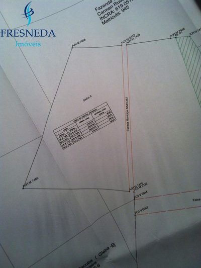 Sítio, 5 quartos, 400 m² - Foto 5