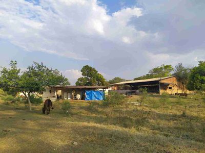 Sítio, 2 quartos, 31 hectares - Foto 4