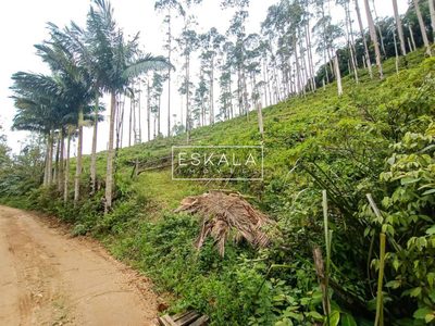 Terreno, 2 hectares - Foto 4