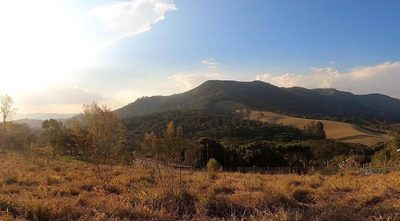 Chácara, 4000 m² - Foto 4