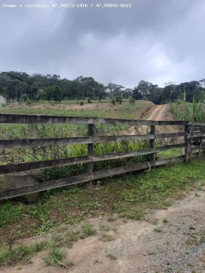 Chácara, 2 quartos, 8000 m² - Foto 4