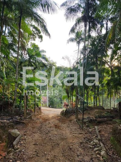 Terreno, 5 hectares - Foto 3