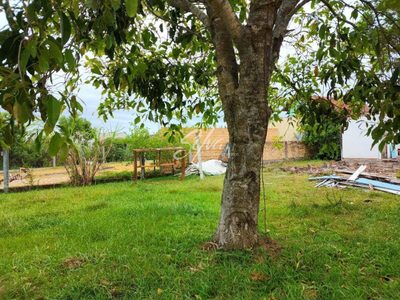 Terreno - Foto 2