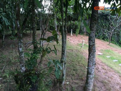 Casa, 3 quartos, 400 m² - Foto 5