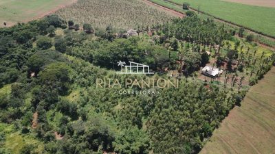 Sítio, 4 hectares - Foto 2