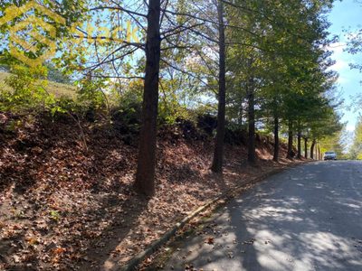 Terreno, 5000 m² - Foto 5