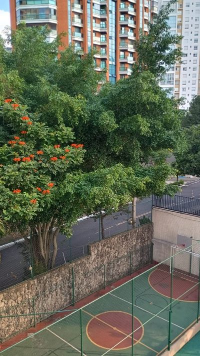 Apartamento, 3 quartos - Foto 4