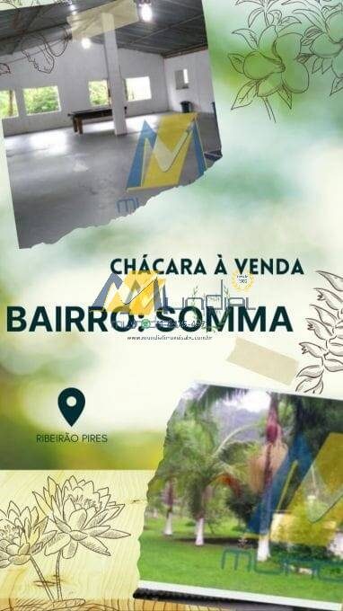 Chácara, 5 quartos, 10000 m² - Foto 1
