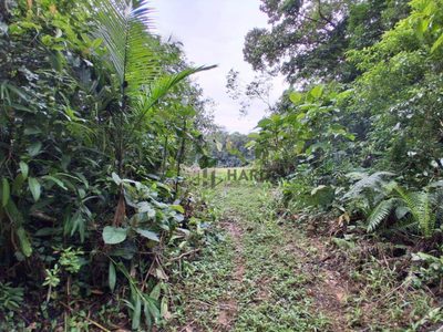 Chácara, 3 hectares - Foto 4