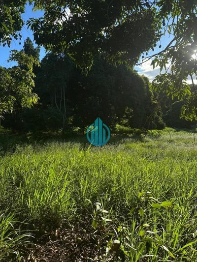 Terreno, 10000 m² - Foto 3