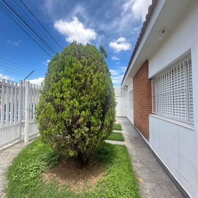 Casa, 4 quartos, 250 m² - Foto 3