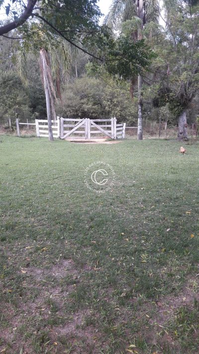 Chácara, 4 quartos, 3 hectares - Foto 2