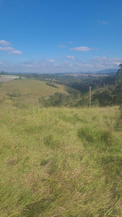 Terreno, 2 hectares - Foto 4