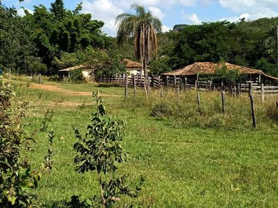 Fazenda, 33 hectares - Foto 2