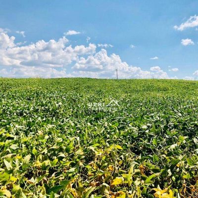 Fazenda, 208 hectares - Foto 2
