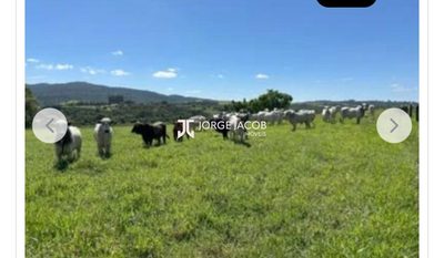 Fazenda, 1 m² - Foto 1