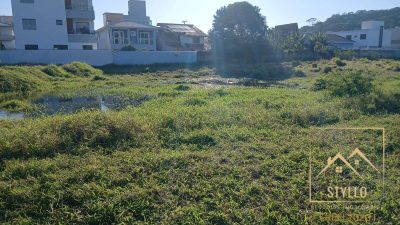 Terreno, 157 hectares - Foto 3