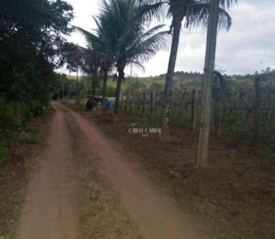 Terreno, 3 hectares - Foto 2