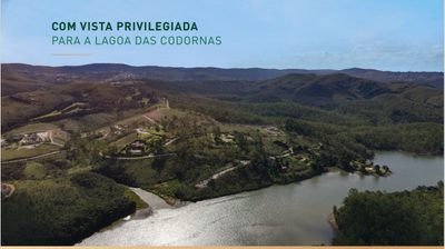 Terreno, 2 hectares - Foto 3
