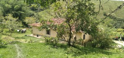 Sítio, 1 quarto, 50 m² - Foto 1