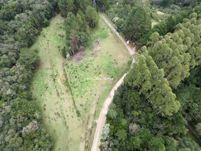 Terreno, 6469 m² - Foto 4