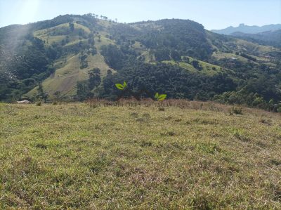 Terreno - Foto 3