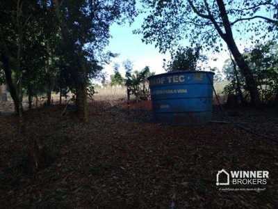Chácara, 2 quartos, 3 hectares - Foto 4