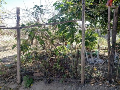 Terreno, 300 m² - Foto 5