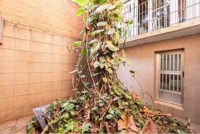 Casa, 4 quartos, 350 m² - Foto 2