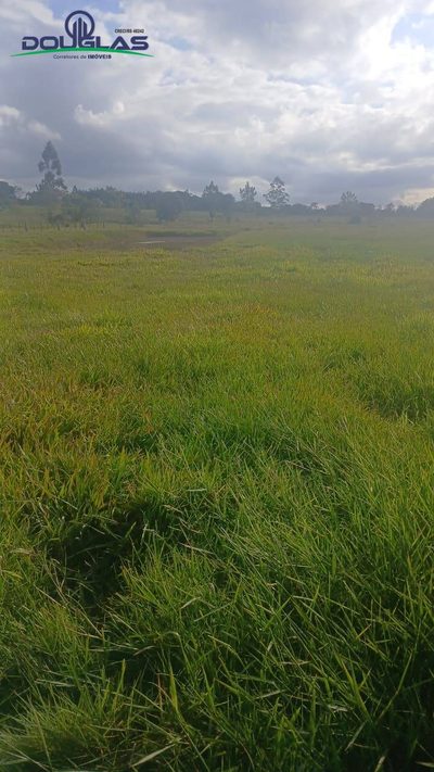 Terreno, 4500 m² - Foto 3