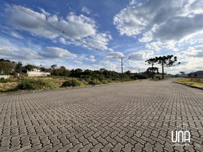 Terreno - Foto 1