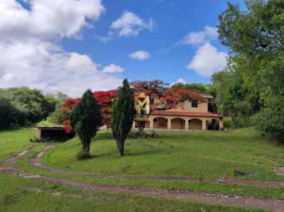 Terreno, 1300 m² - Foto 5