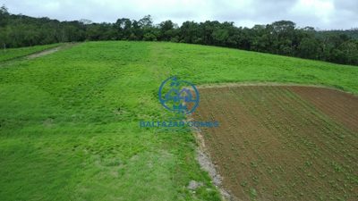 Fazenda, 5 m² - Foto 4