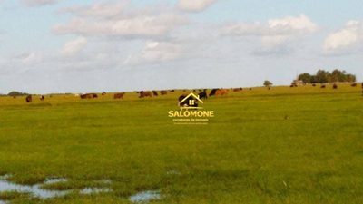 Fazenda, 130 hectares - Foto 3