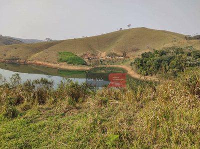 Terreno, 10000 m² - Foto 5