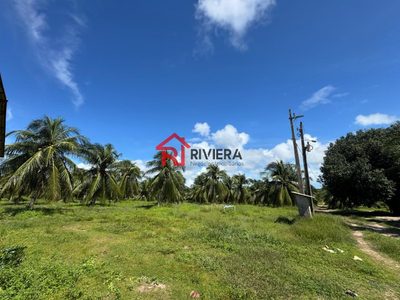 Terreno, 16 hectares - Foto 3