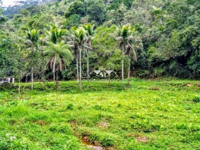 Fazenda, 3 hectares - Foto 1