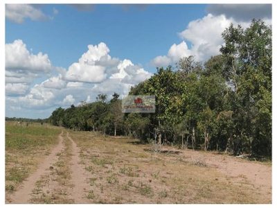 Fazenda, 2600 m² - Foto 3