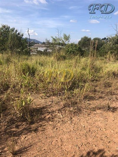 Terreno, 6 hectares - Foto 5