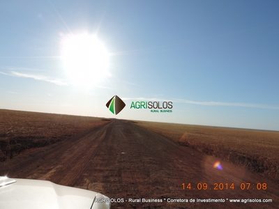 Terreno, 3 hectares - Foto 4