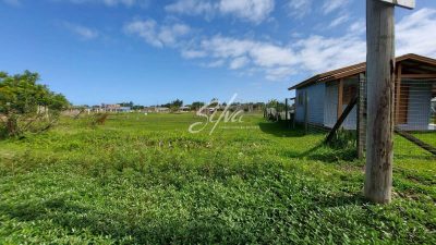 Terreno - Foto 4