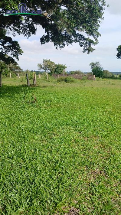 Terreno - Foto 2