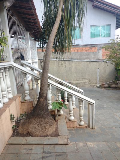 Casa, 3 quartos, 90 m² - Foto 3