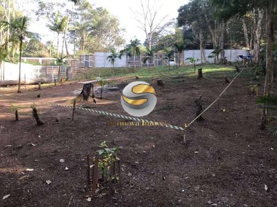 Terreno, 1000 m² - Foto 3