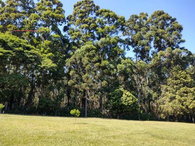 Sítio, 4 quartos, 4 hectares - Foto 4