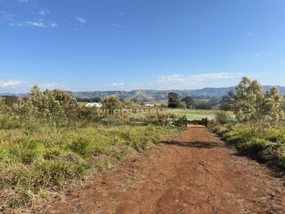 Fazenda, 3 hectares - Foto 2