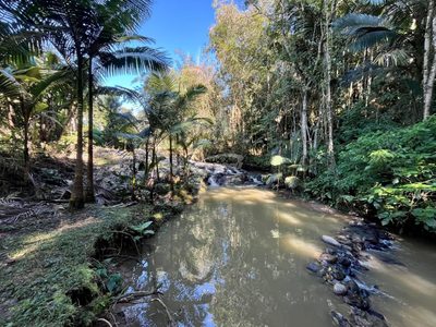 Chácara, 2 quartos, 5 hectares - Foto 2